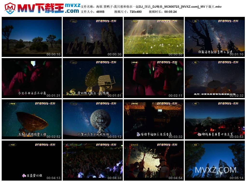 海镔 黑鸭子-我只想和你在一起DJ_国语_DJ嗨曲_MC600723